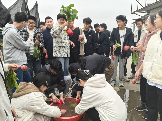 WechatIMG1255_副本.jpg