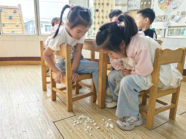 IMG_20250609_094237_副本.jpg